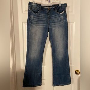 Judy Blue bootcut 14W